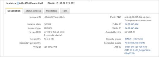 Screen shot of the instance details for the NAT instance