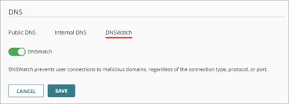 Screen shot of the DNS configuration, DNSWatch tab