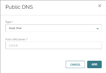 Screen shot of the Public DNS Server setting