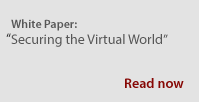 White Paper: Securing the Virtual World