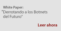 White Paper: Derrotando a los Botnets del Futuro