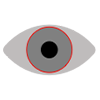 Ícone de olho cinza