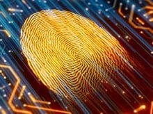 Glowing fingerprint in a circuit board