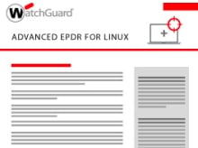 Thumbnail: Advanced EPDR for Linux Datasheet