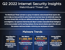 thumb image of Q2 2022 Internet Security Report