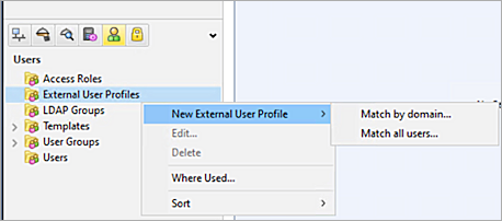 The screenshot of CheckPoint SmartDashboard external user profile