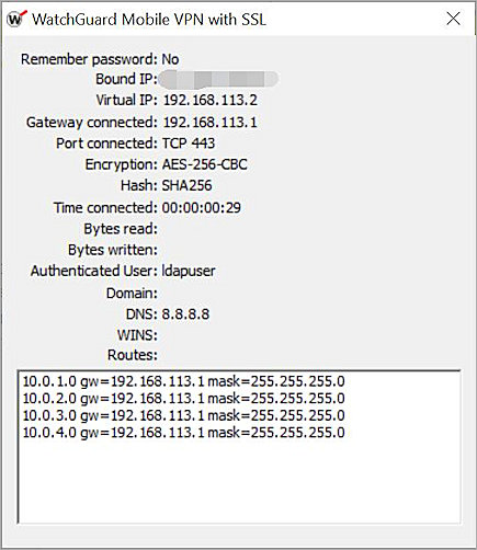 Screenshot of WatchGuard SSL client