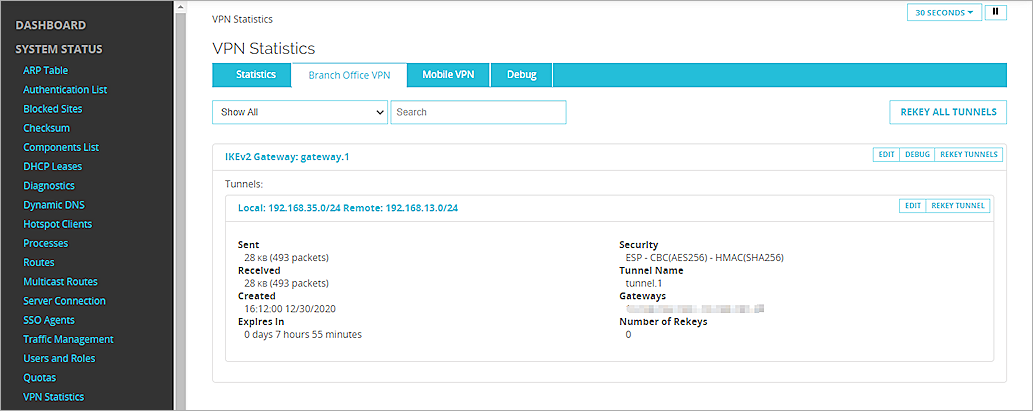 Screenshot of BOVPN statistics