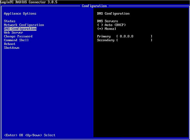 Screenshot of the LoginTC DNS Configuration page