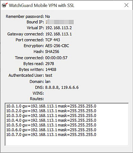 Screenshot of the Mobile VPN with SSL connection details