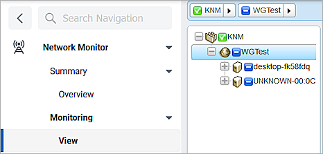 Screen shot of the Kaseya Network Monitor View panel
