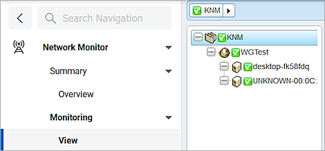 Screen shot of the Kaseya Network Monitor View panel