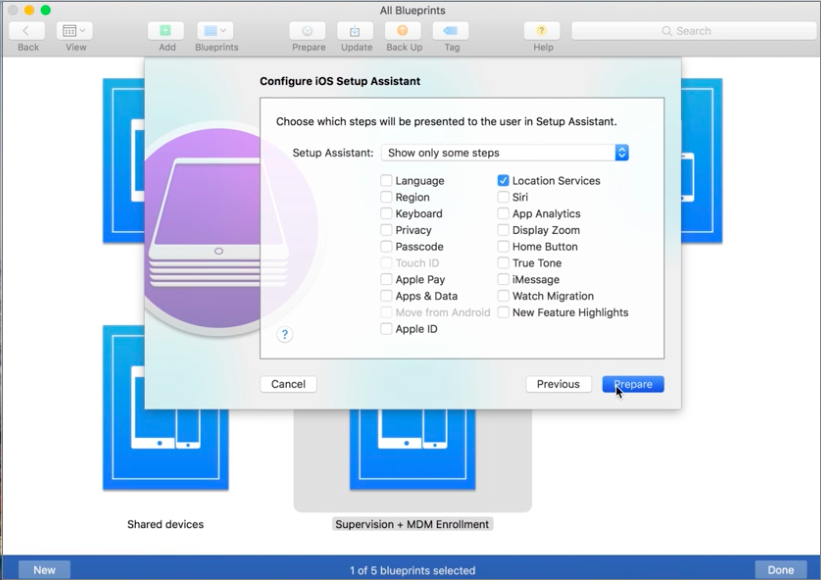 Screen shot of Choose iOS Setup Assistant dialog box.