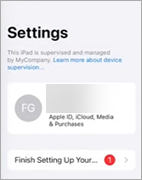 Screen shot of Apple Settings page.