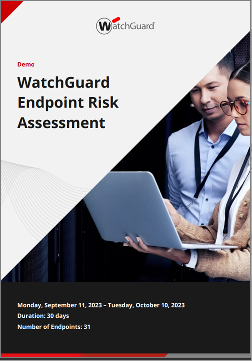 Screen shot of Endpoint Risk Assessment report - cover