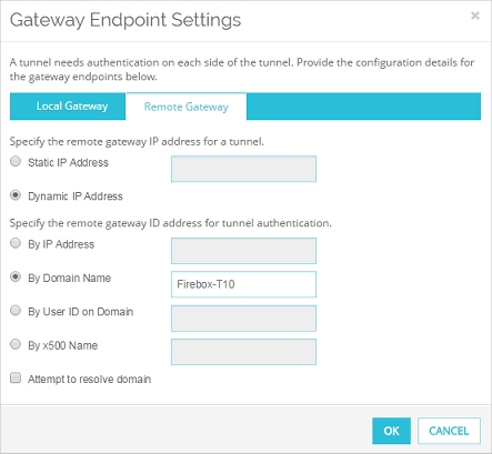 Screen shot of the Gateway Endpoint Setting tab, Remote Gateway, with a domain name configured