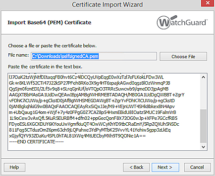 Screen shot of the Certificate Import Wizard import Base64 PEM certificate page in FSM