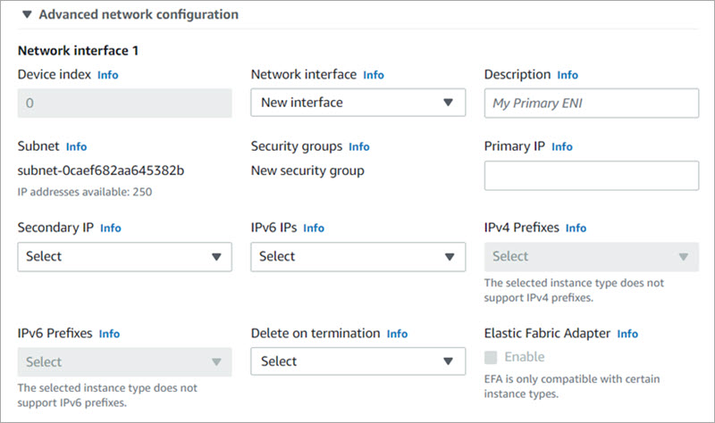 Screen shot of the Advanced Network Configuration section in the EC2 Launch Wizard