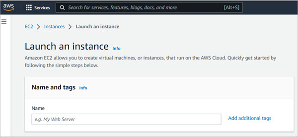 Screen shot of the Launch an Instance Name text box
