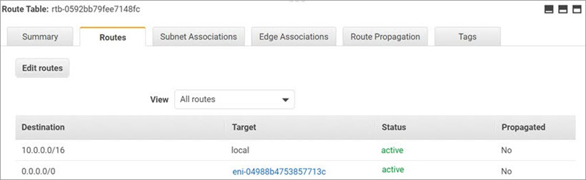 Screen shot of the Routes for a private network with Active status