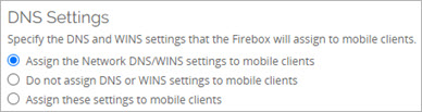 Screenshot of the DNS Settings dialog box.