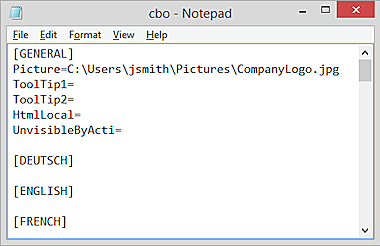 Screen shot of cbo.ini file