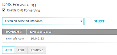 Screen shot of the DNS Forwarding settings