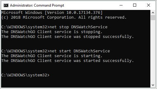 Screenshot of Command Prompt commands to start and stop client