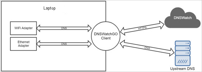 Screenshot of the DNSWatchGO Client Process
