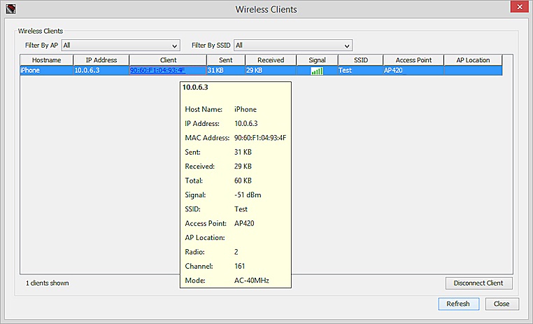Screen shot of the wireless client details in FSM