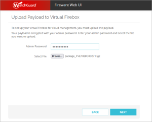 Screen shot of the Upload Payload page in the Web Setup Wizard