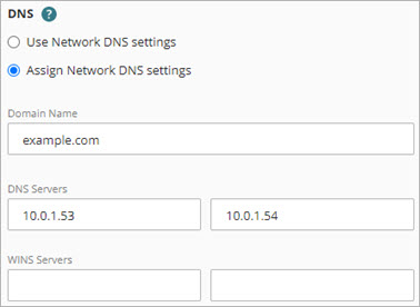 Screen shot of the assigned DNS settings in the Mobile VPN configuration