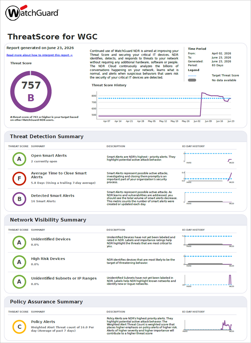 Screenshot of the Executive Summary report main page