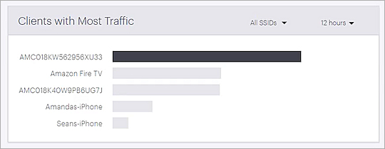 Screen shot of the Clients With Most Traffic widget on the Performance Dashboard