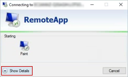 Screenshot of the Show Details option in the RemoteApp window.