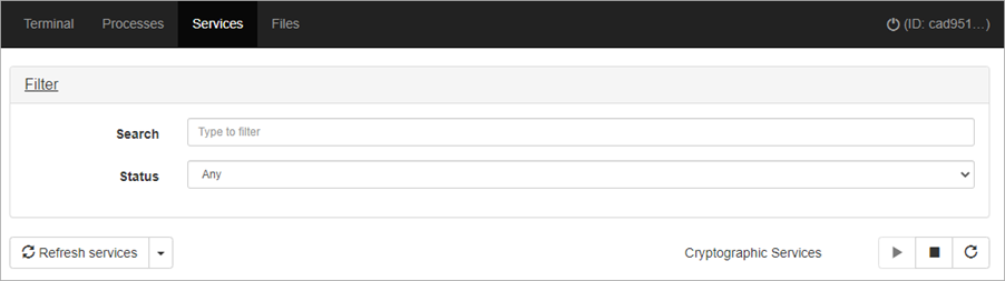 Screen shot of Endpoint Security Elite, Remote Control Services filter