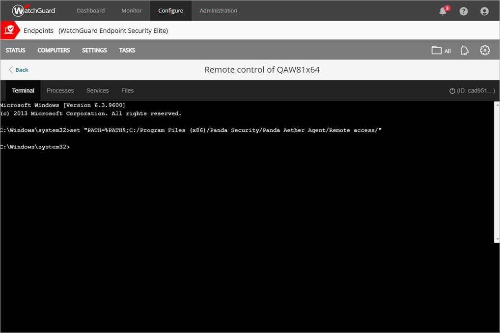 Screen shot of Endpoint Security Elite, Remote Control Terminal page