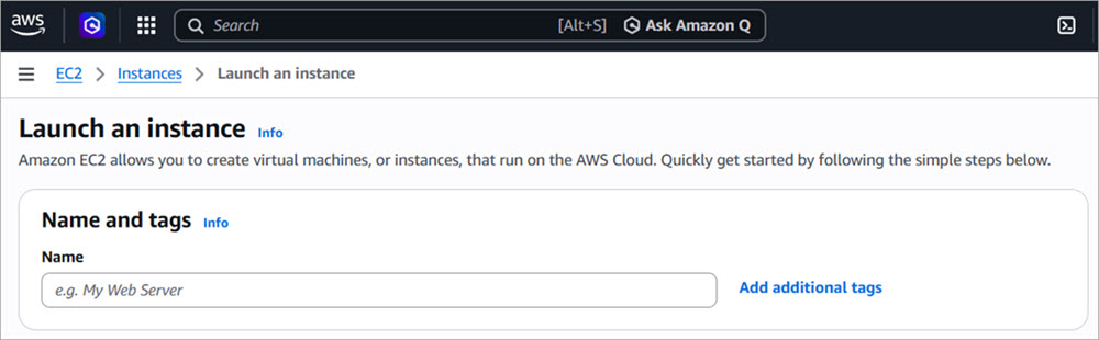 Screen shot of the Launch an Instance Name text box