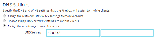 Screen shot of the DNS Settings