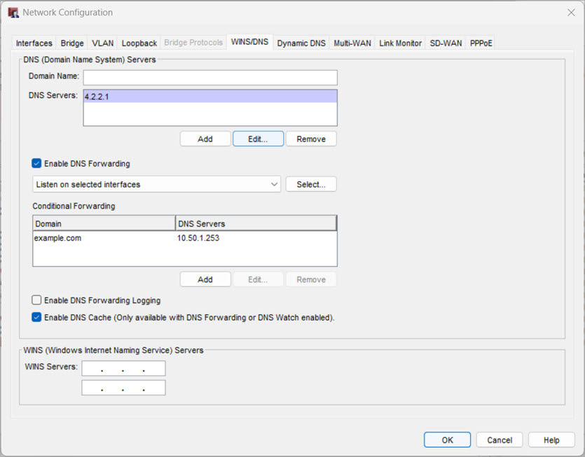 Screen shot of DNS forwarding settings in WSM