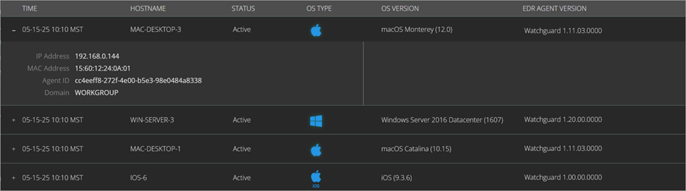 Screen shot of MDR portal endpoint details