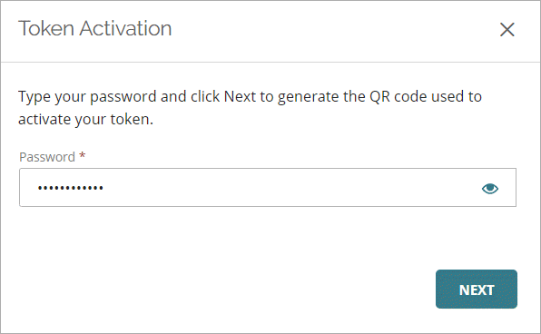 Screenshot of the Token Activation window.