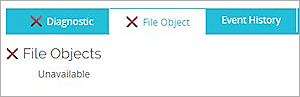 Screen shot of the File Object tab