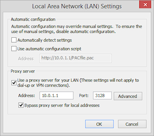 Internet Explorer LAN settings - Manual Proxy Server