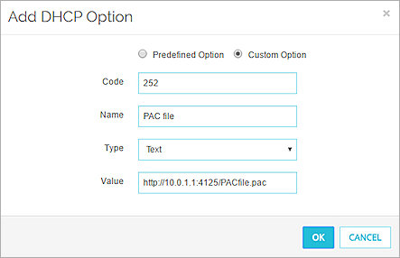 Screen shot of the Add DHCP Option dialog box for PAC files