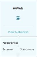 Screen shot of the View Networks information for a standalone interface
