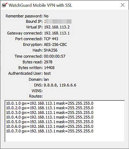 Screenshot of the Mobile VPN with SSL connection details