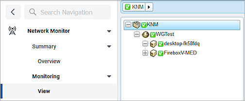 Screen shot of Network Monitor Monitoring View page