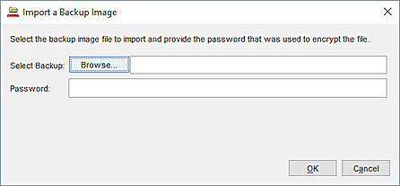 Screen shot of Import a Backup Image dialog box.