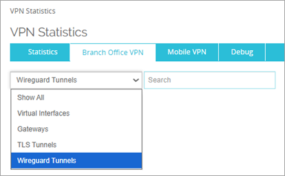 Screenshot of the VPN Statistics page